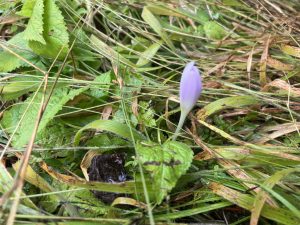 Образованието е стабилизатор на китайско-американските отношения