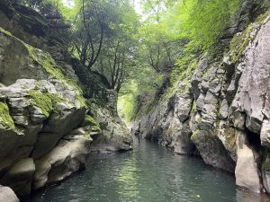 Гуандун спира фериботните услуги в отговор на тайфуна Фунг-вонг