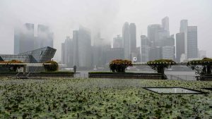 DeepSeek обявява инициатива с отворен код и разкрива FlashMLA модел · TechNode