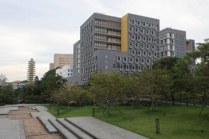 Изследванията на чревната микробиота подхранват иновациите в лекарствата