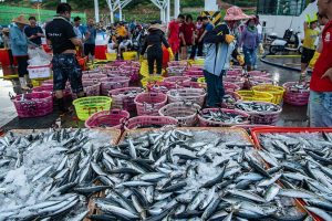 Хайнан разширява износа на морски дарове