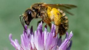 Гуангдонг призова да стимулира висококачествено развитие