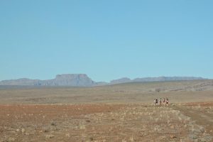 Открит е нов ген, който предпазва ориза от глобален патоген