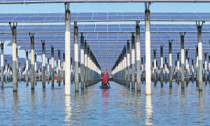 Слънчевата енергия засенчва въглищата през 26 г