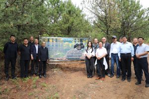 Клъстери от диви трюфели, открити в района Huairou в Пекин